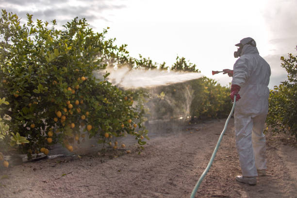 Best Cockroach Control Services  in Council Grove, KS