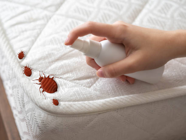 Professional Pest Control in Council Grove, KS